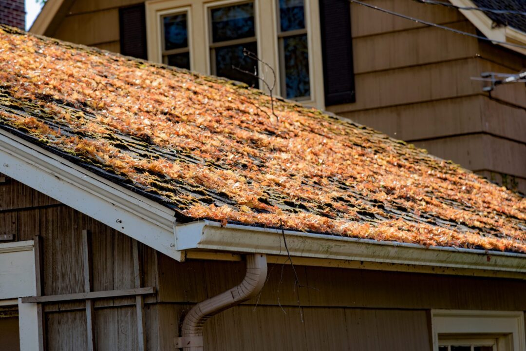 autumn-leaves-on-shingled-roof-with-rain-gutters-2025-01-08-14-24-44-utc Why Roof in the Fall? Commercial Roofing near me
