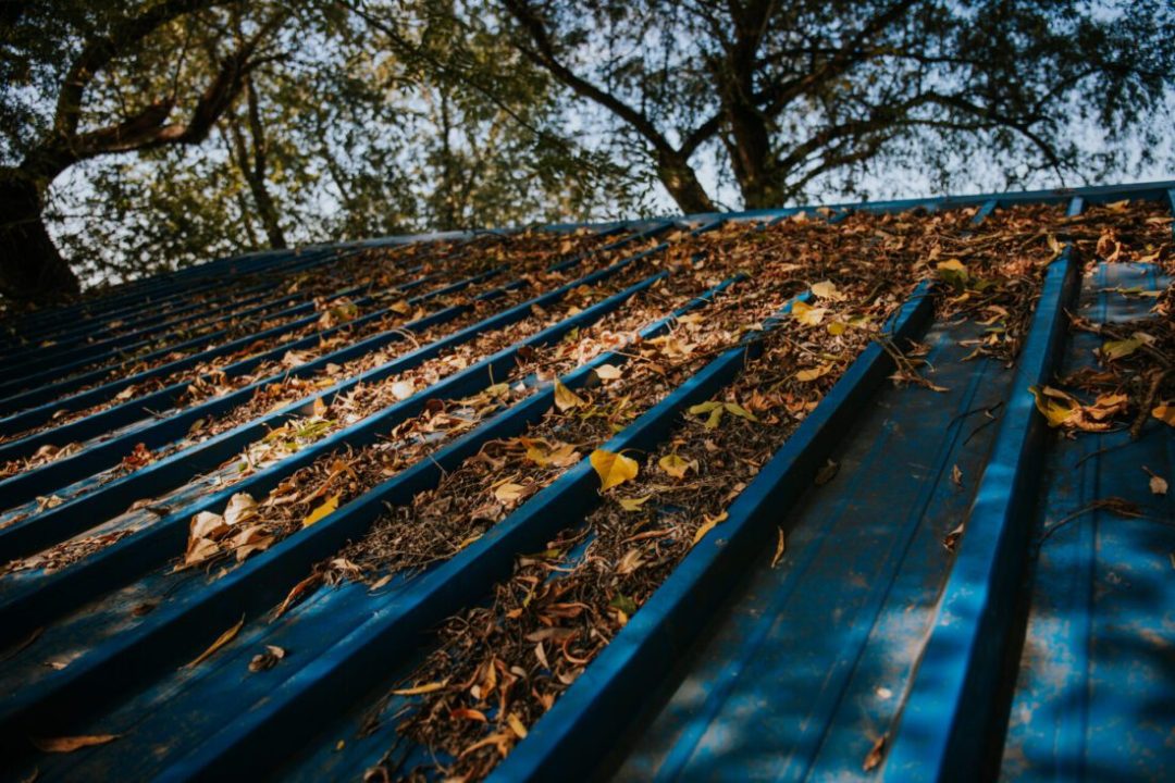 Fall Roof Maintenance | West Texas Commercial Roofing